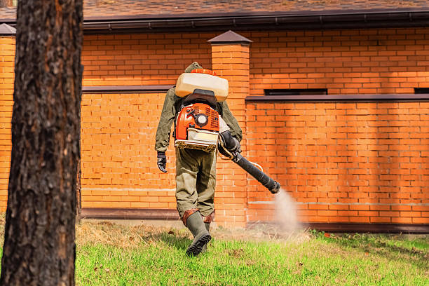 Bed Bug Clearance Verification and Documentation in Lenoir